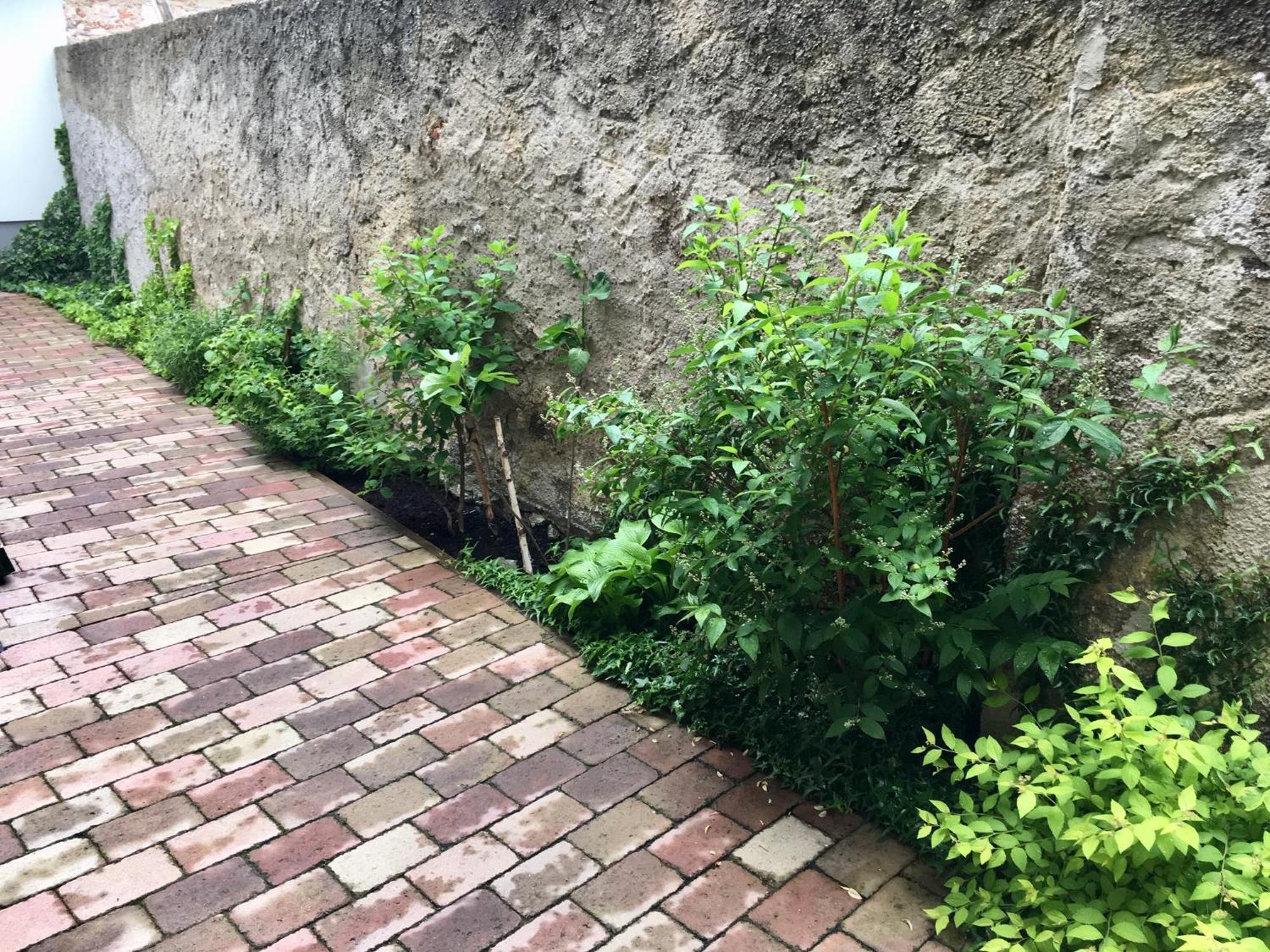 Apartmány U Vavřince Sušice Exteriér fotografie